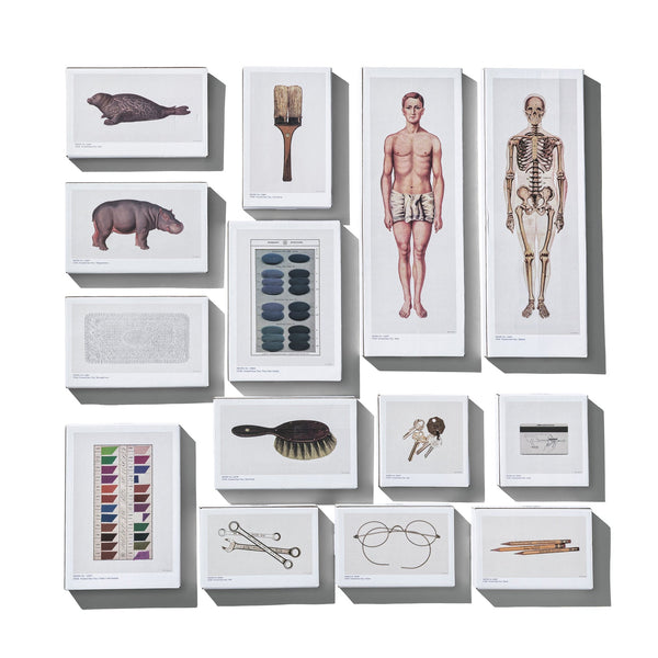 PRINTED GLASS TRAY / Hippopotamus
