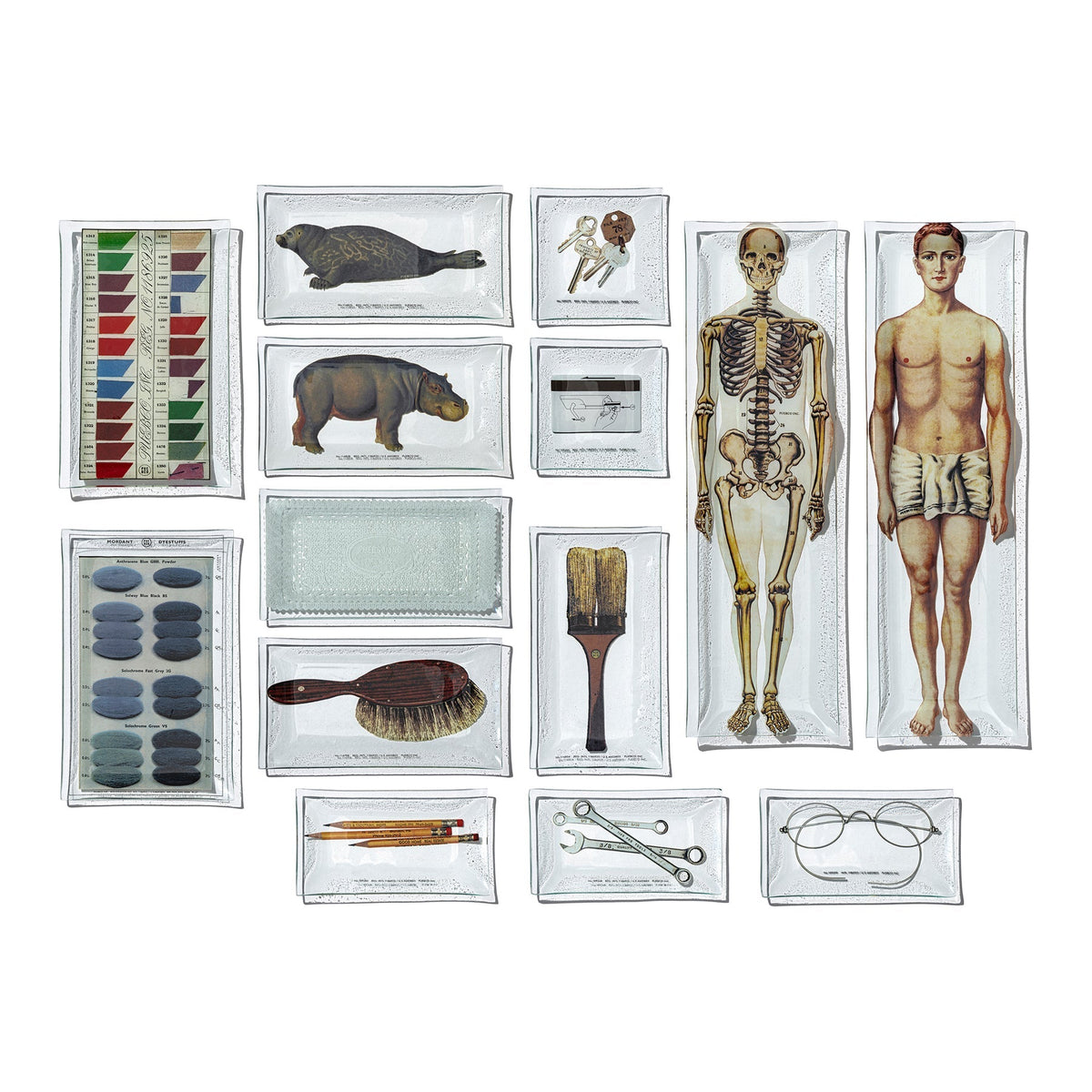 PRINTED GLASS TRAY / Skeleton, Body